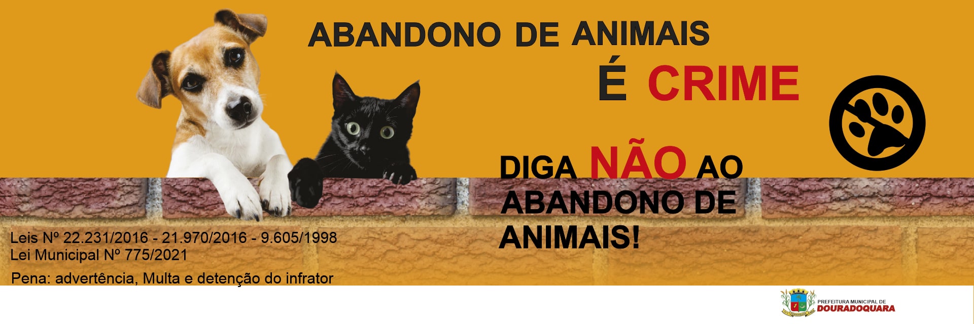 campanha abandono animais